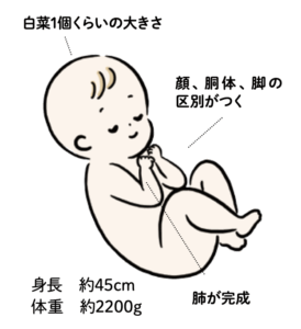 妊娠9ヶ月