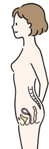 お母さんの様子（妊娠0～3週）