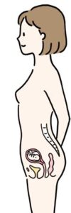お母さんの様子（妊娠8～11週）