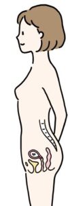 お母さんの様子（妊娠4〜7週）