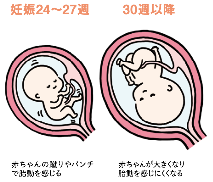 胎動