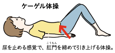 ケーゲル体操
