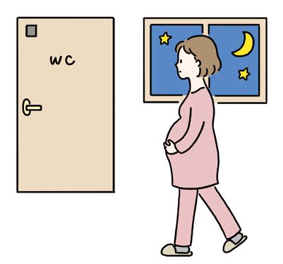 妊娠中の頻尿・尿もれ・膀胱炎