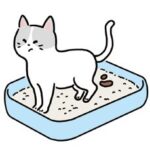 ネコのフン