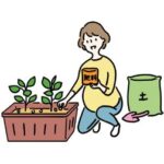 家庭菜園